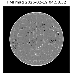 shmi - 2026-02-19T04:58:32.400000