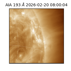 saia - 2026-02-20T08:00:04.835000