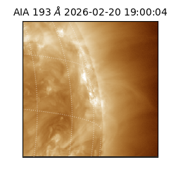 saia - 2026-02-20T19:00:04.843000