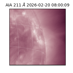 saia - 2026-02-20T08:00:09.618000
