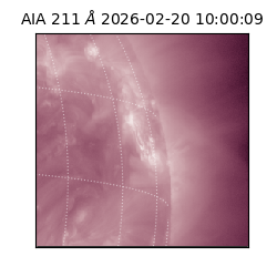 saia - 2026-02-20T10:00:09.626000