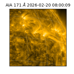 saia - 2026-02-20T08:00:09.343000