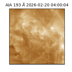 saia - 2026-02-20T04:00:04.835000