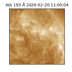 saia - 2026-02-20T11:00:04.843000