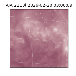 saia - 2026-02-20T03:00:09.630000