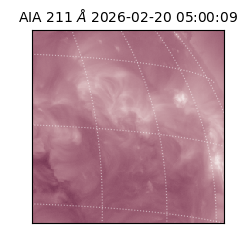 saia - 2026-02-20T05:00:09.633000