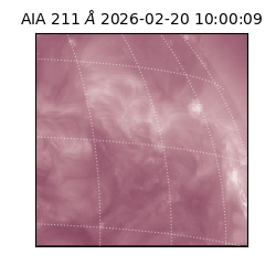 saia - 2026-02-20T10:00:09.626000