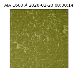 saia - 2026-02-20T08:00:14.121000