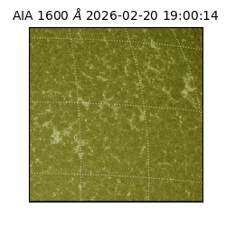 saia - 2026-02-20T19:00:14.126000