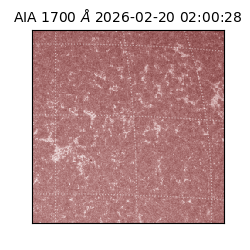 saia - 2026-02-20T02:00:28.717000