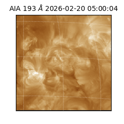 saia - 2026-02-20T05:00:04.843000