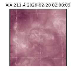 saia - 2026-02-20T02:00:09.632000