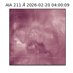 saia - 2026-02-20T04:00:09.619000