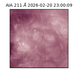 saia - 2026-02-20T23:00:09.622000
