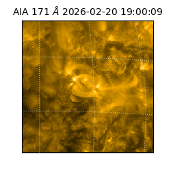 saia - 2026-02-20T19:00:09.350000