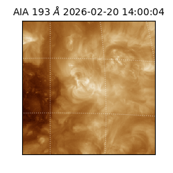 saia - 2026-02-20T14:00:04.846000