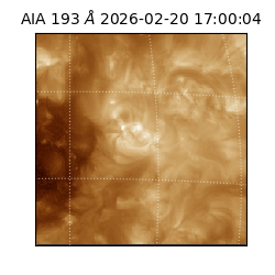 saia - 2026-02-20T17:00:04.843000