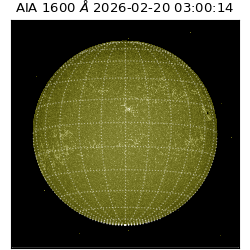 saia - 2026-02-20T03:00:14.125000