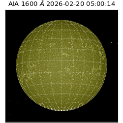 saia - 2026-02-20T05:00:14.125000
