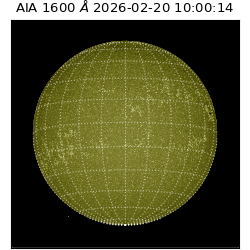saia - 2026-02-20T10:00:14.130000