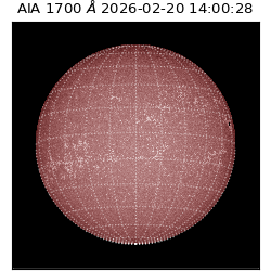 saia - 2026-02-20T14:00:28.717000