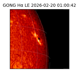 gong - 2026-02-20T01:00:42
