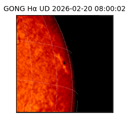 gong - 2026-02-20T08:00:02