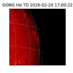 gong - 2026-02-20T17:00:22