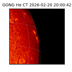 gong - 2026-02-20T20:00:42