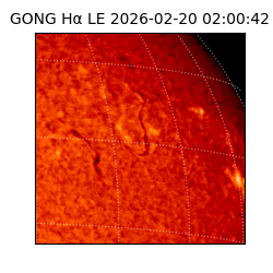 gong - 2026-02-20T02:00:42