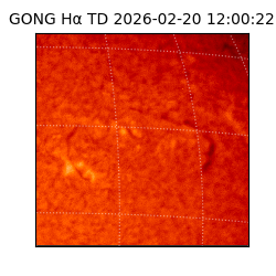 gong - 2026-02-20T12:00:22