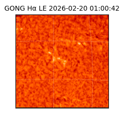 gong - 2026-02-20T01:00:42