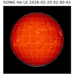 gong - 2026-02-20T02:00:42