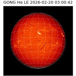 gong - 2026-02-20T03:00:42