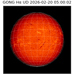 gong - 2026-02-20T05:00:02