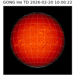 gong - 2026-02-20T10:00:22