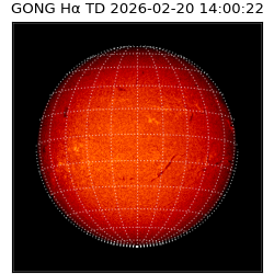 gong - 2026-02-20T14:00:22