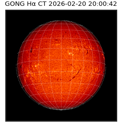 gong - 2026-02-20T20:00:42