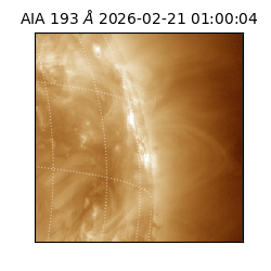 saia - 2026-02-21T01:00:04.843000