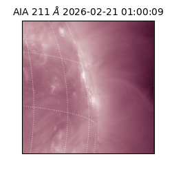 saia - 2026-02-21T01:00:09.632000