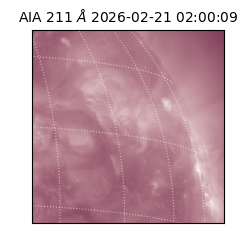 saia - 2026-02-21T02:00:09.632000