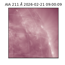saia - 2026-02-21T09:00:09.626000
