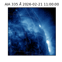 saia - 2026-02-21T11:00:00.639000