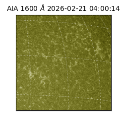 saia - 2026-02-21T04:00:14.124000