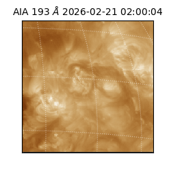 saia - 2026-02-21T02:00:04.843000
