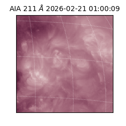 saia - 2026-02-21T01:00:09.632000