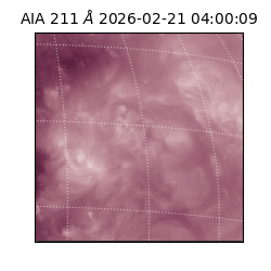saia - 2026-02-21T04:00:09.625000