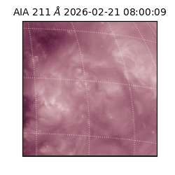 saia - 2026-02-21T08:00:09.619000