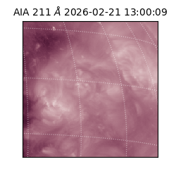 saia - 2026-02-21T13:00:09.632000