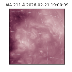 saia - 2026-02-21T19:00:09.630000